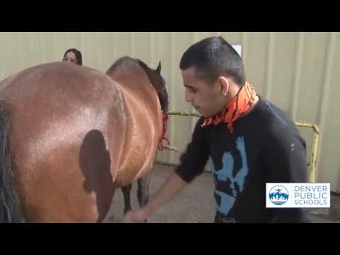Equine Therapy Transforms Student Lives