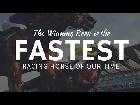 The fastest RACE HORSE: Winning Brew set a Guinness speed record - 43.97 mph