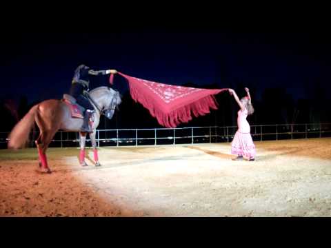 Caballo y mujer bailando