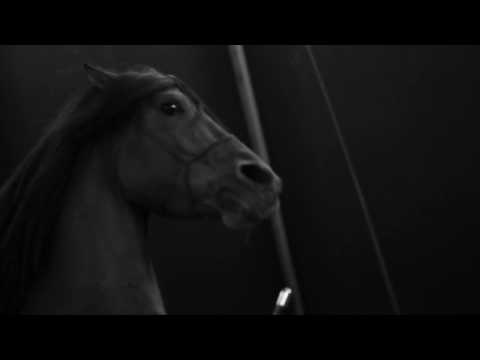 Ô Cirque Danse Equestre réal: Fabien Luszezyszyn