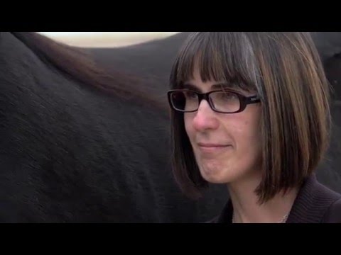 Healing with Horses