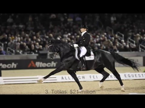The 10 Most Expensive Horses Ever Sold