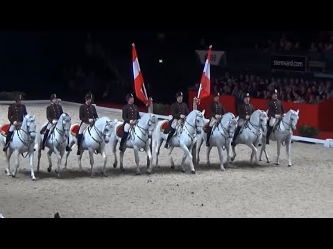 Vienna&#039;s Spanish Riding School Lipizzaner Horse Performance Wembley London