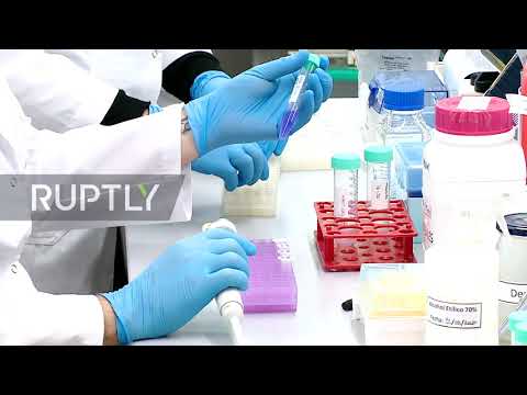 Argentina: Scientists use horses to develop serum to fight COVID-19