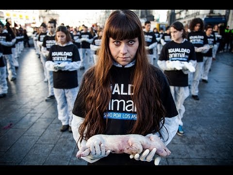 International Animal Rights Day 2012 | Madrid (Spain)