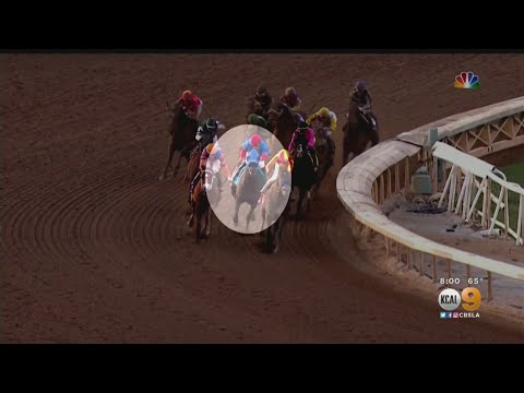 Horse Euthanized After Breeders&#039; Cup Race Injury, 37th Horse To Die At Santa Anita Since December