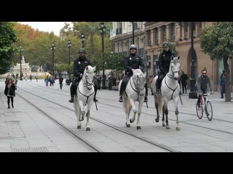 Mounted police - Seville, Spain (November 30th, 2016)