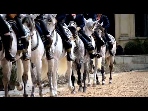 Cómo bailan los caballos andaluces