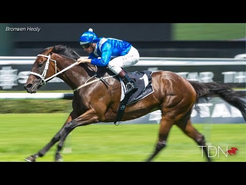 A Tribute to the Incomparable Mare Winx