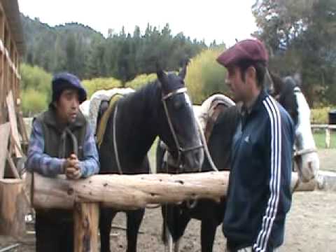 amanse sin violencia y cultura mapuche