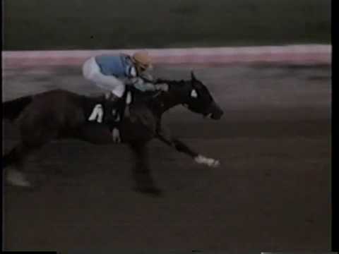 Northern Dancer
