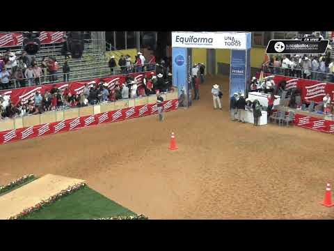 61a Expointernacional Equina Grado &quot;A&quot; - Feria de las Flores