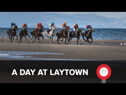 A Day at Laytown Races