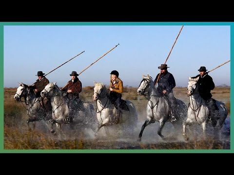 Maddie Chases Bulls With The Gardian Of The Camargue | Earth Unplugged