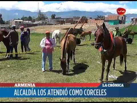 JORNADA DE BIENESTAR EQUINO