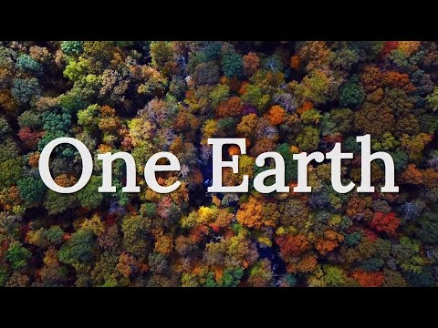 One Earth - Environmental Short Film