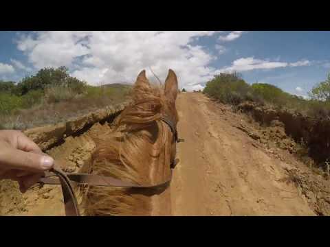 THE CENTRAL COLOMBIAN TRAIL RIDE