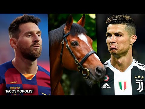 Por está RAZÓN este CABALLO VALE MÁS que LIONEL MESSI y CRISTIANO RONALDO JUNTOS
