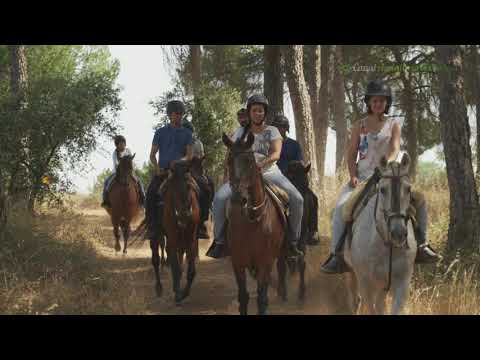 Ruta a caballo, Aznalcázar. Sevilla