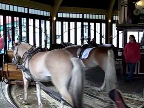 1. Ponny-Caroussel im Wiener Prater 2010.avi