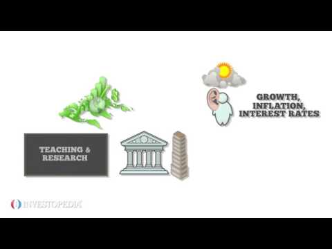 The Difference Between Finance And Economics !