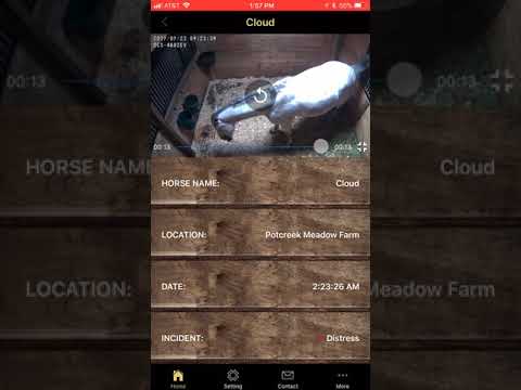 Artificial intelligence-powered monitoring system for horses from Magic AI