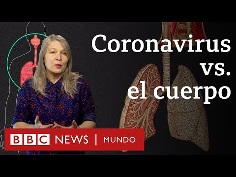¿Qué le hace el coronavirus al cuerpo? | BBC Mundo