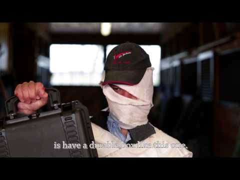 First Aid For Your Horse