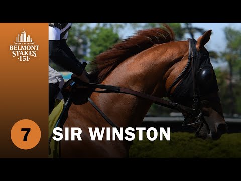2019 Belmont Stakes Contender - Sir Winston