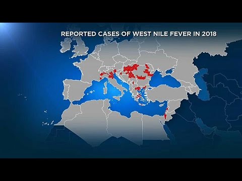 El virus de Nilo Occidental sigue azotando el centro y sureste de Europa