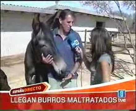 El Refugio del Burrito en España Directo