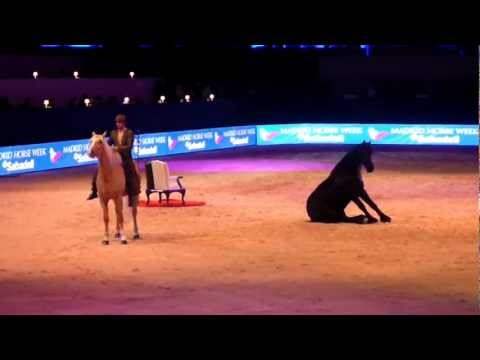 Madrid horse week - Santi Serra