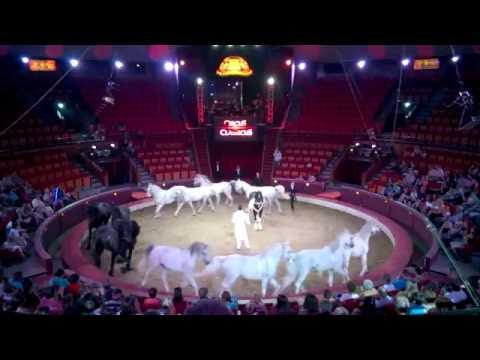Budapest circus - horse show