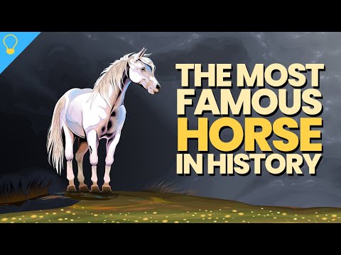 The Most Famous Horse in History