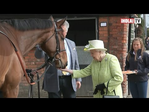 Conoce cuáles son los dos animales que más ama la reina Isabel II | ¡HOLA! TV