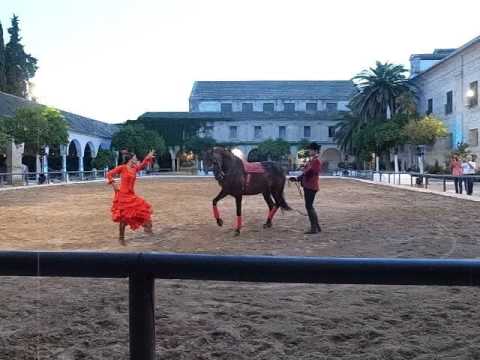 Cordoba-Espectáculo Ecuestre Equestrian Show