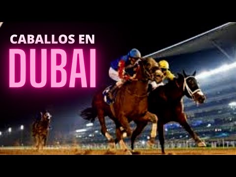 CARRERAS DE CABALLOS EN DUBAI (HIPODROMO DE MEYDAN=