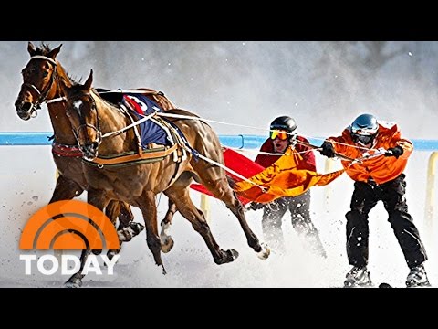 Skijoring, The Intense Sport Of Getting Pulled By A Horse | TODAY