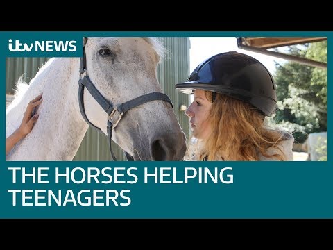 Equine therapy: How horses are helping teens&#039; mental health | ITV News