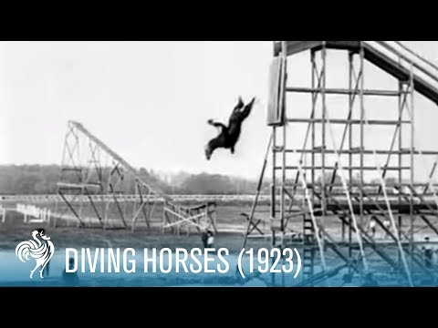 Diving Horses: A Wild Attraction for the Daring Rider (1923) | British Pathé