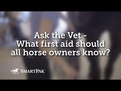 Ask the Vet - What first aid should all horse owners know?