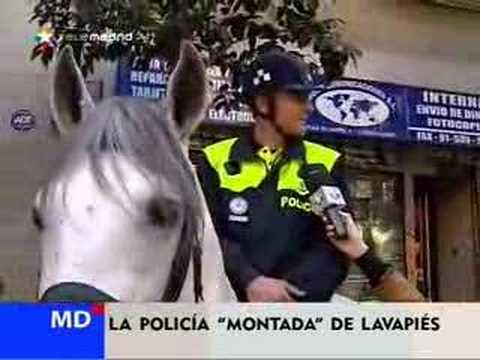 La &quot;Policía Montada&quot; de Lavapiés