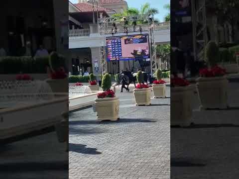 The Brother Slew de escuelita en Gulfstream Park este sábado