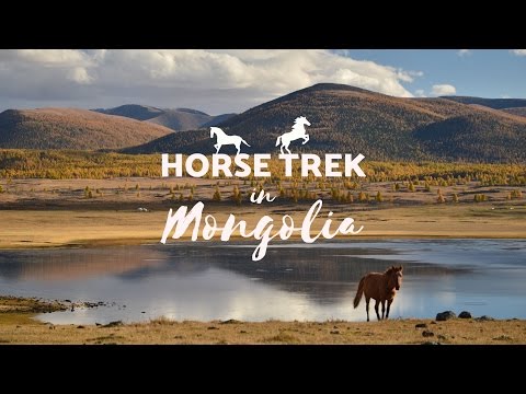 Horse Trek in Mongolia | 4 day tour