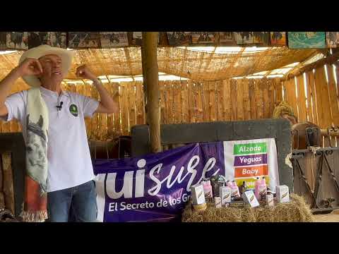 Importancia del Agua Limpia en los Caballos