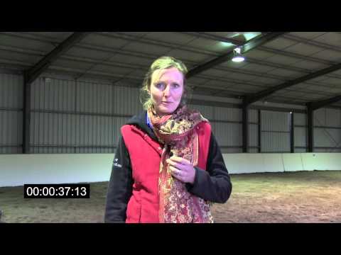 Equine Wellness 2013 Testimonials