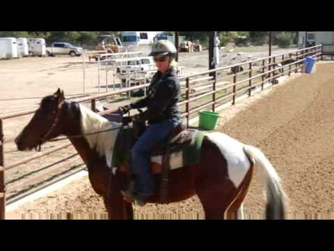 Horseback Riding Tips