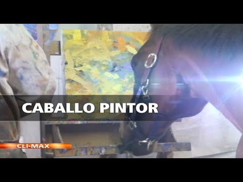 “Metro”, el caballo que aprendió a pintar para salvar su propia vida