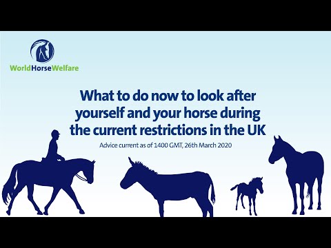 Caring for a horse during UK coronavirus restrictions