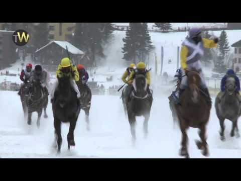 White Turf of St.Moritz - Focus on the Gubelin race
